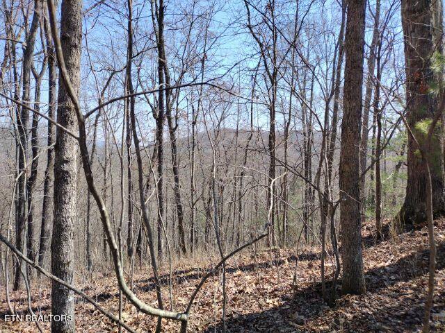 465 Huse Watson Road Oakdale TN 37829