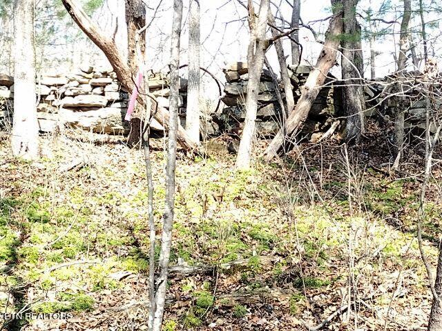 465 Huse Watson Road Oakdale TN 37829