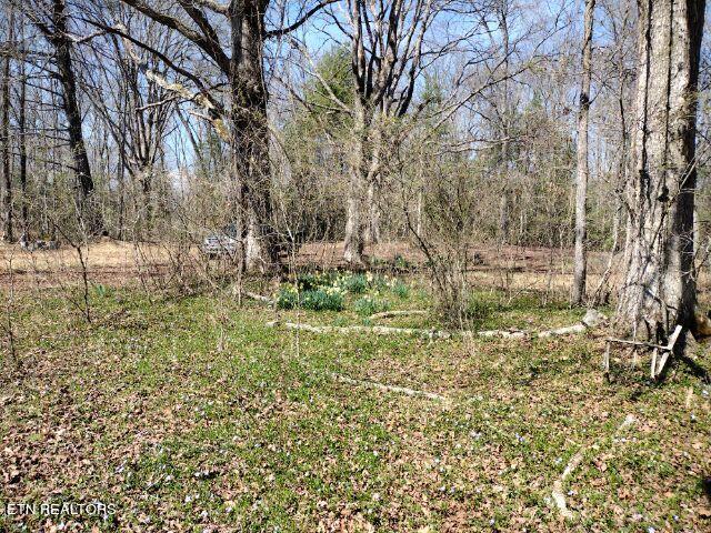 465 Huse Watson Road Oakdale TN 37829