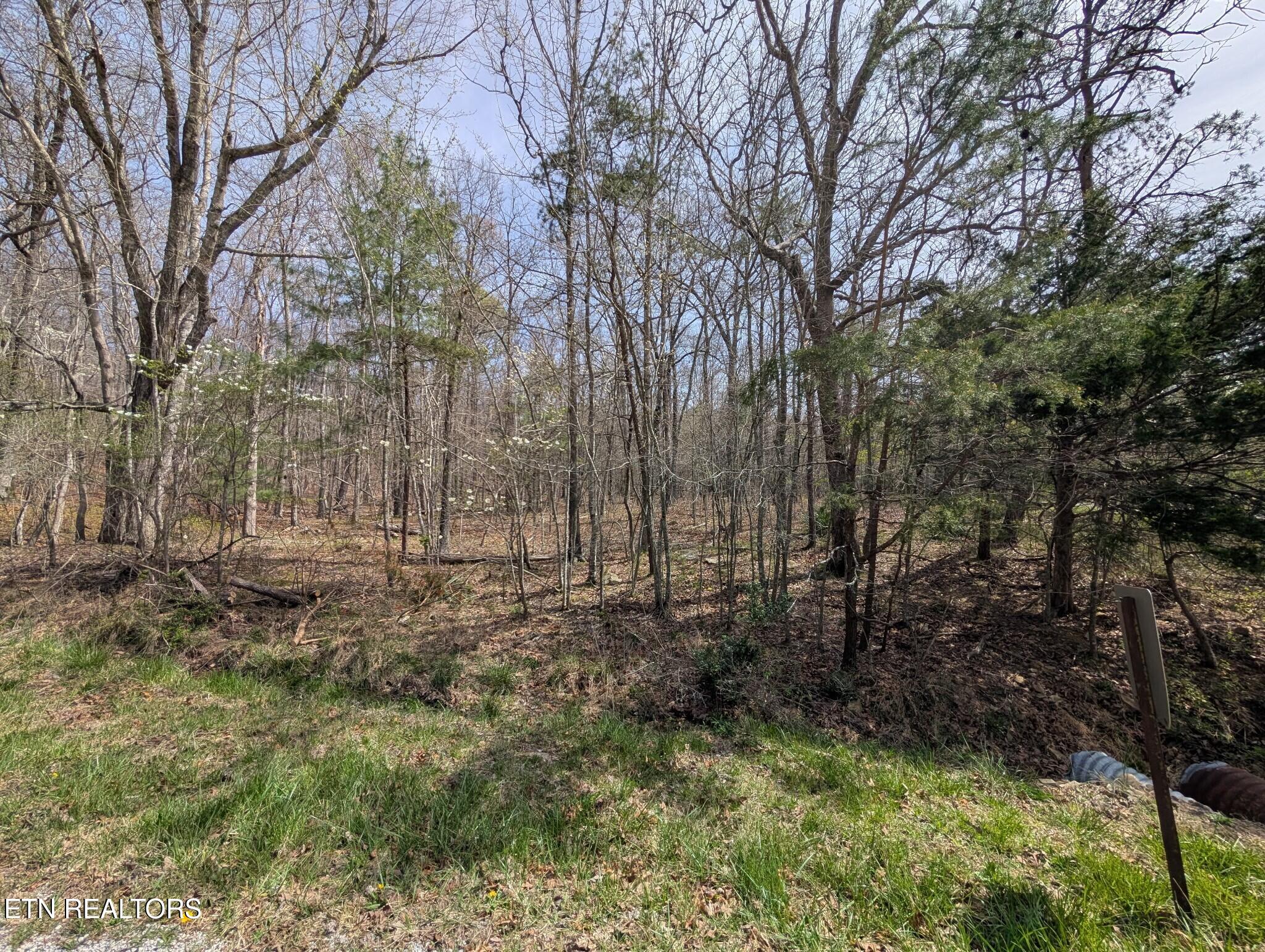 146 Darwin Lane Crossville TN 38558