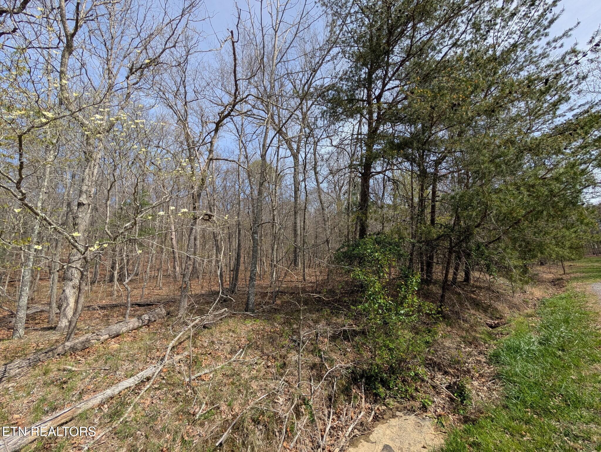 146 Darwin Lane Crossville TN 38558