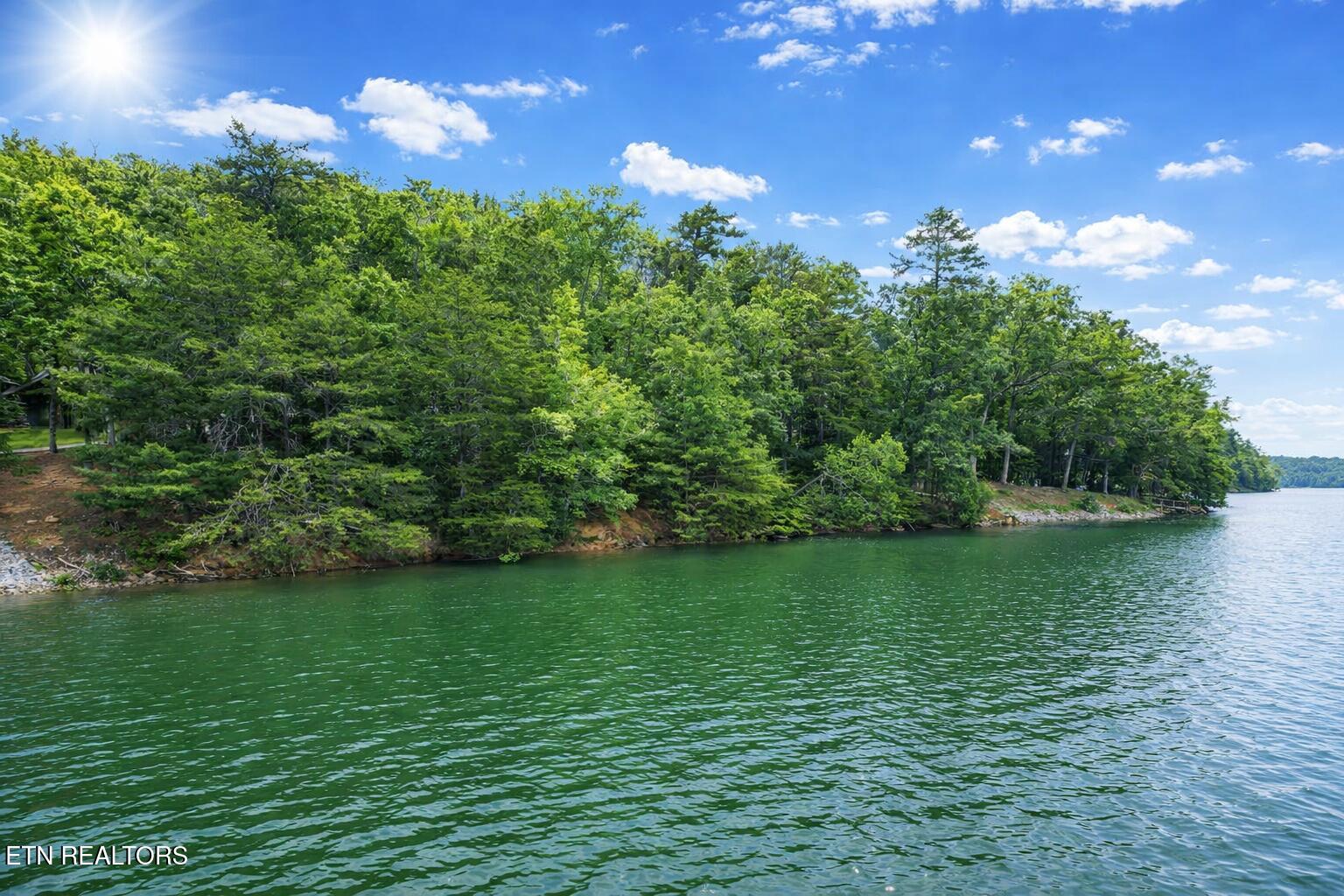 Eagle Point Drive Rockwood TN 37854