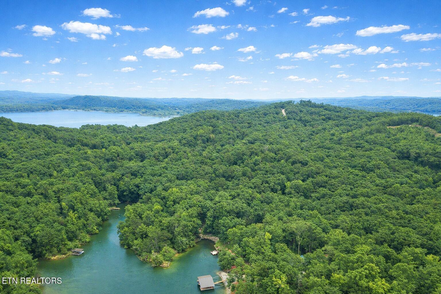 Eagle Point Drive Rockwood TN 37854