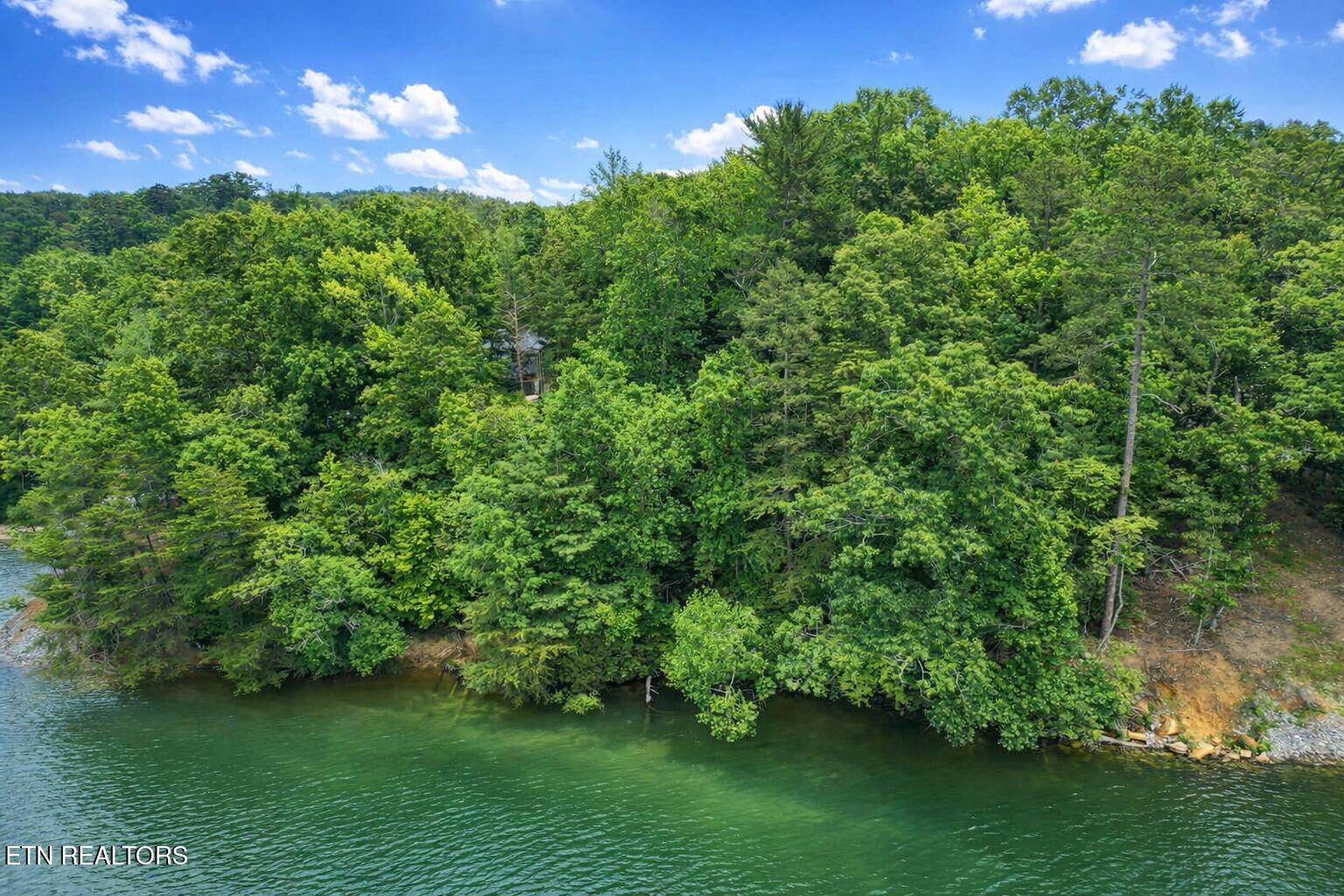 Eagle Point Drive Rockwood TN 37854