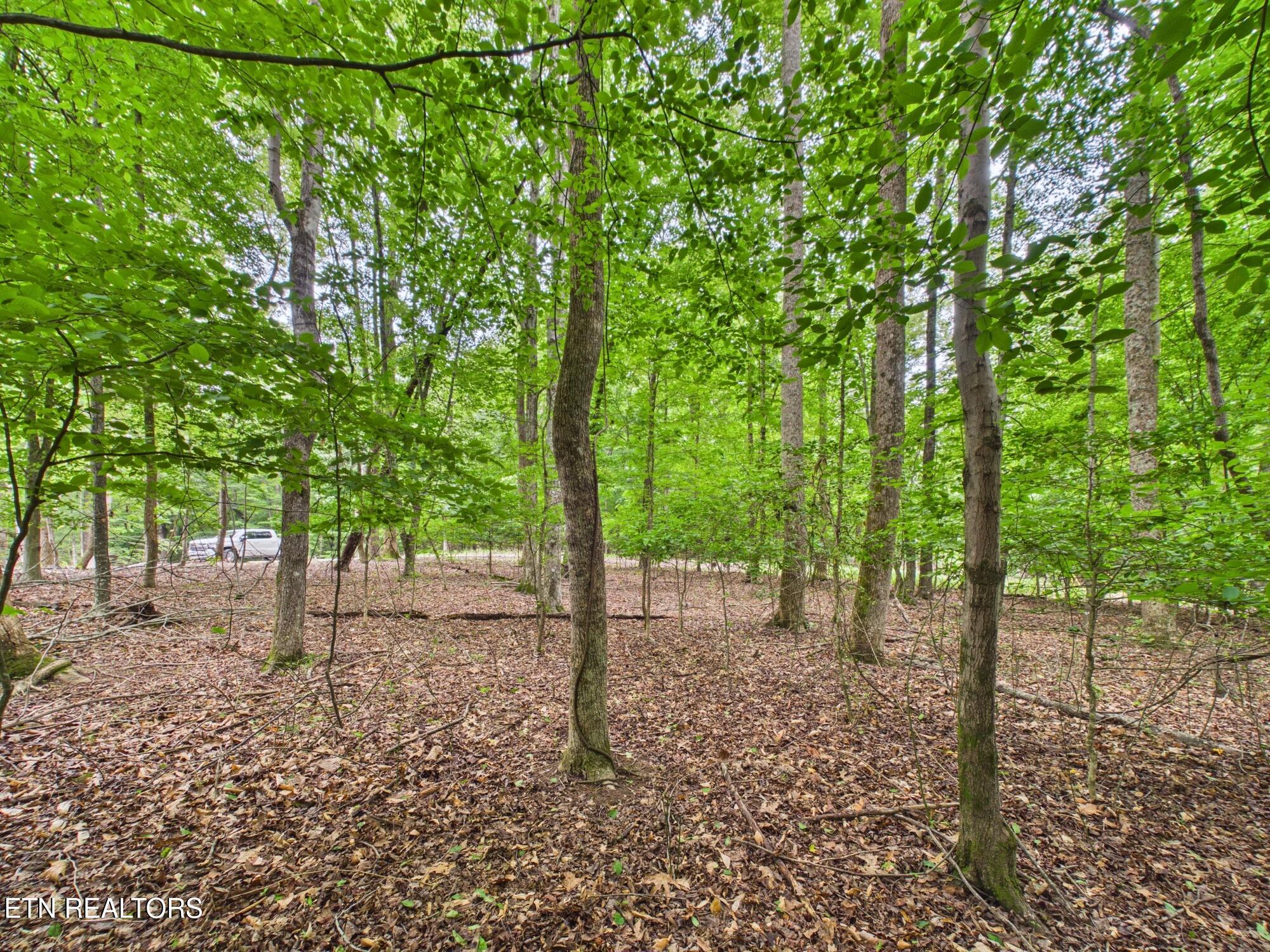 Eagle Point Drive Rockwood TN 37854