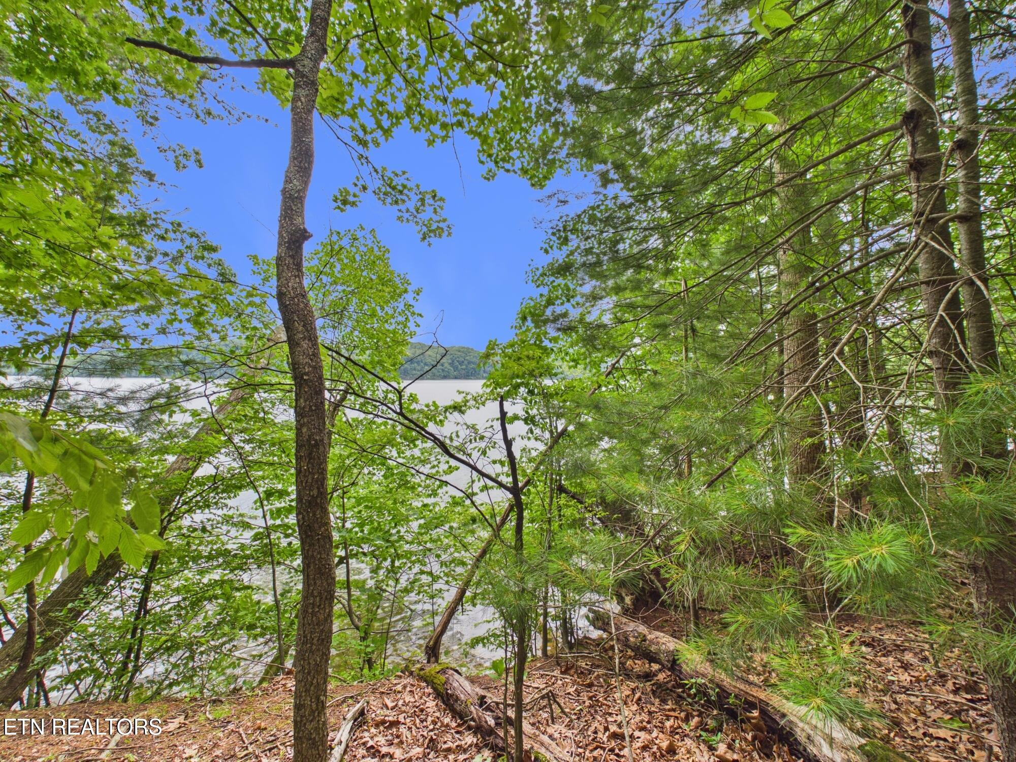 Eagle Point Drive Rockwood TN 37854