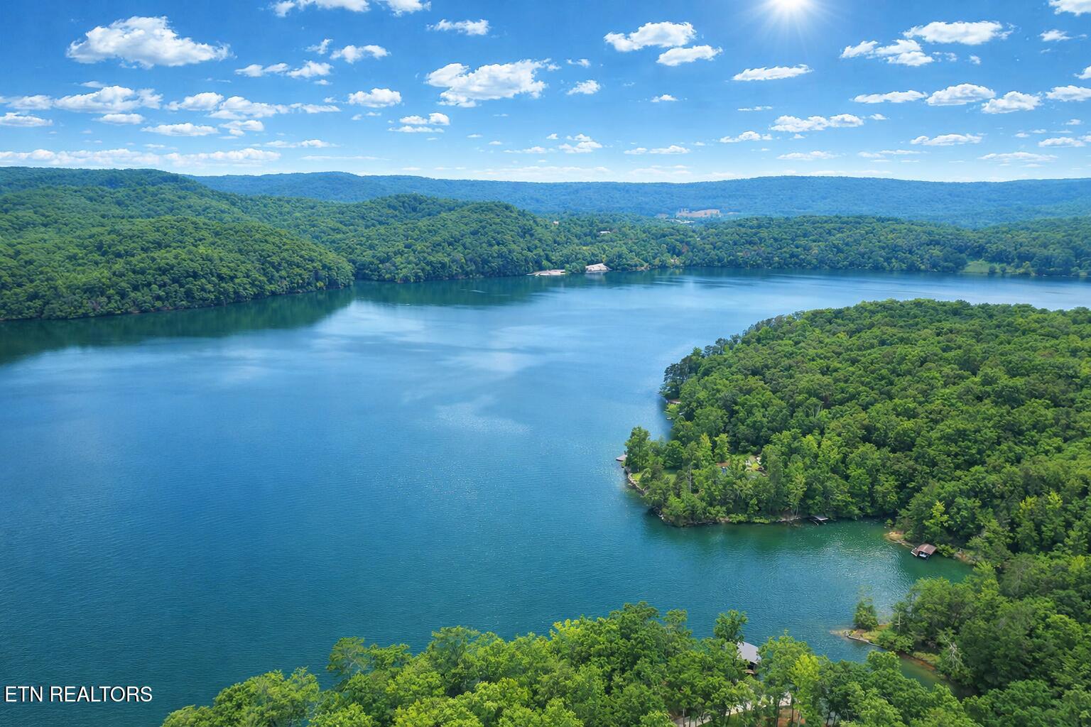 Eagle Point Drive Rockwood TN 37854