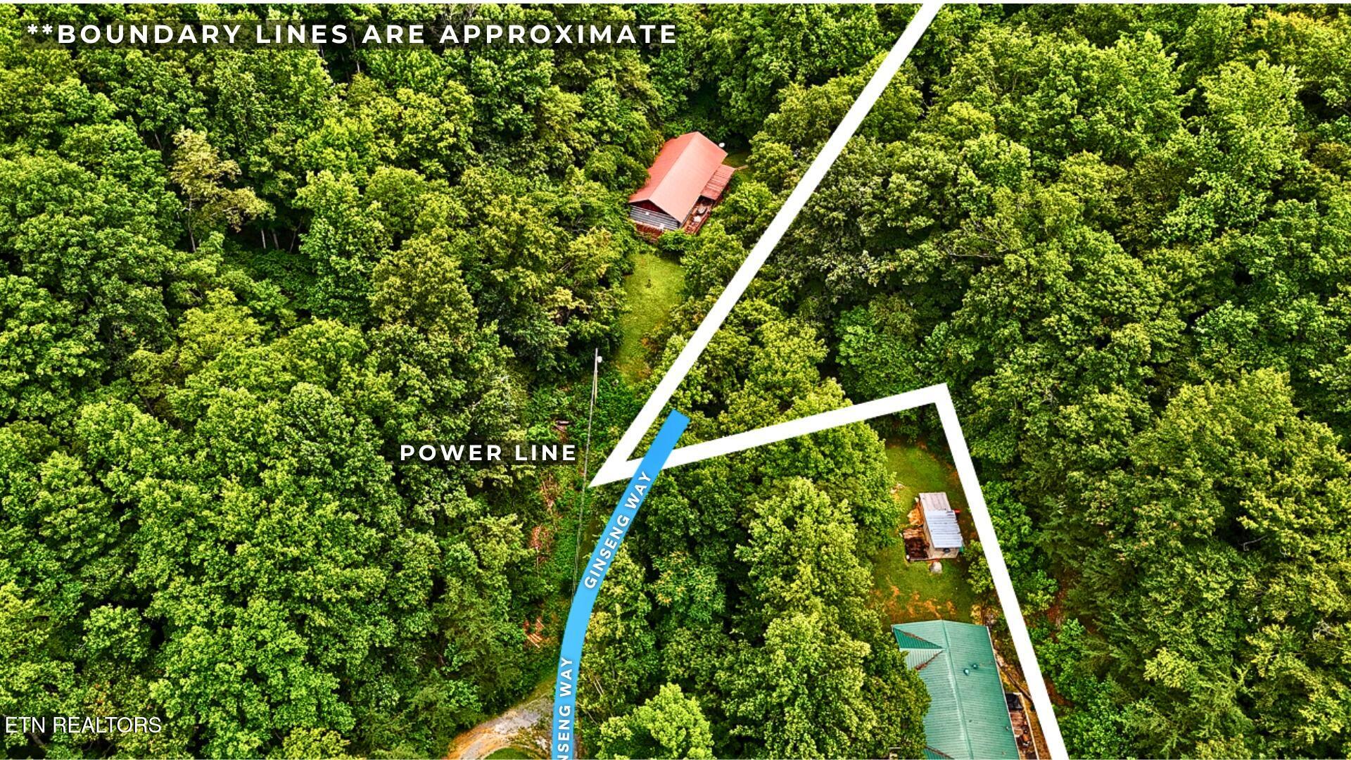 0 Ginseng Way Parrottsville TN 37843