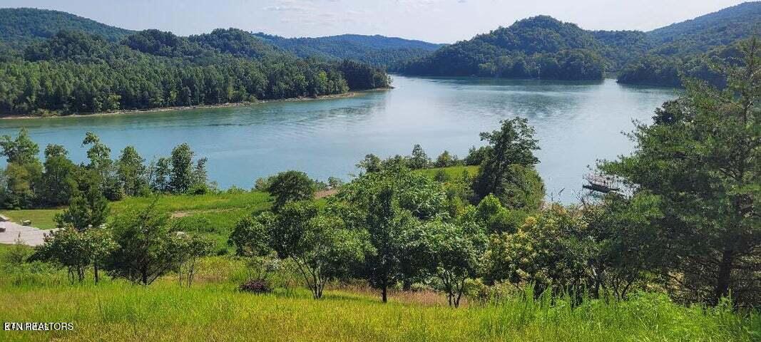 Longshore Drive Tazewell TN 37879