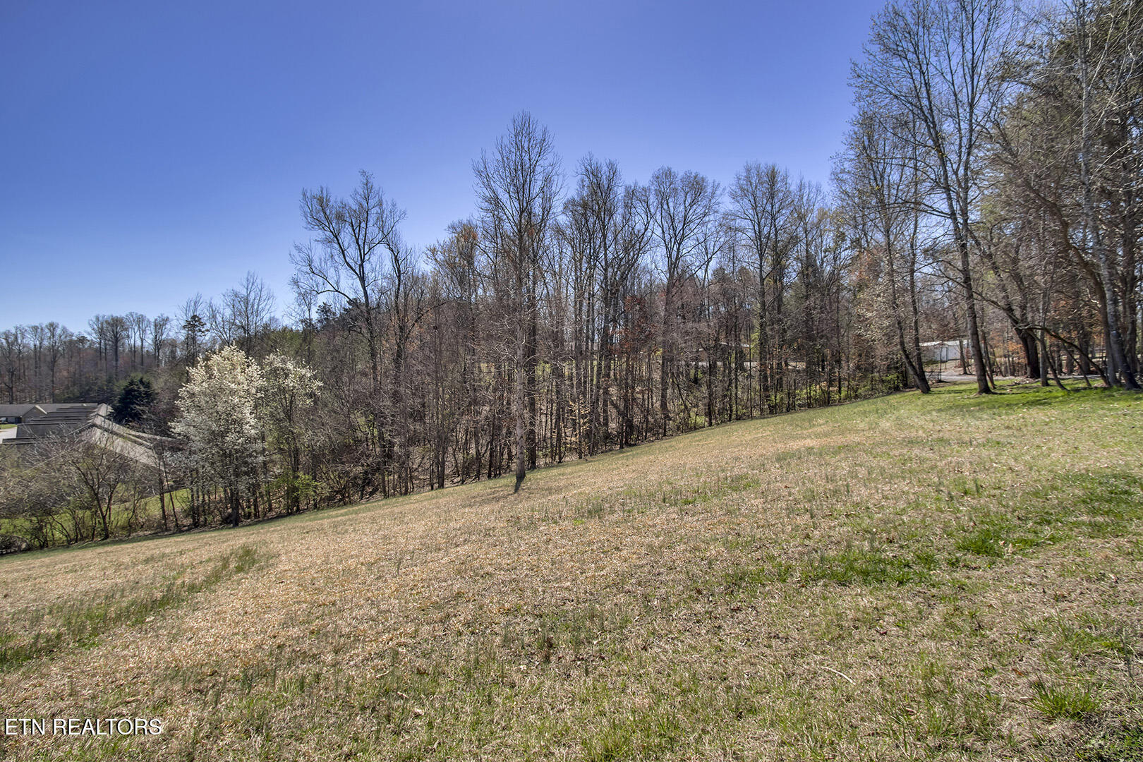 0 Cate Road Powell TN 37849