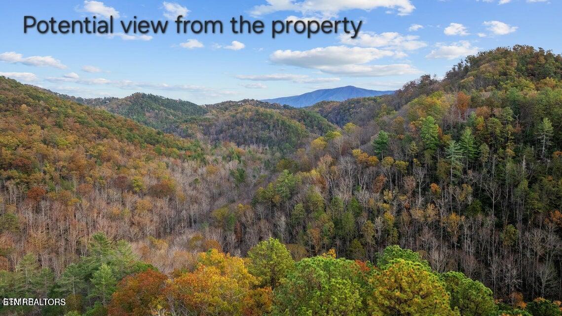 4416 Whetstone Road Sevierville TN 37862