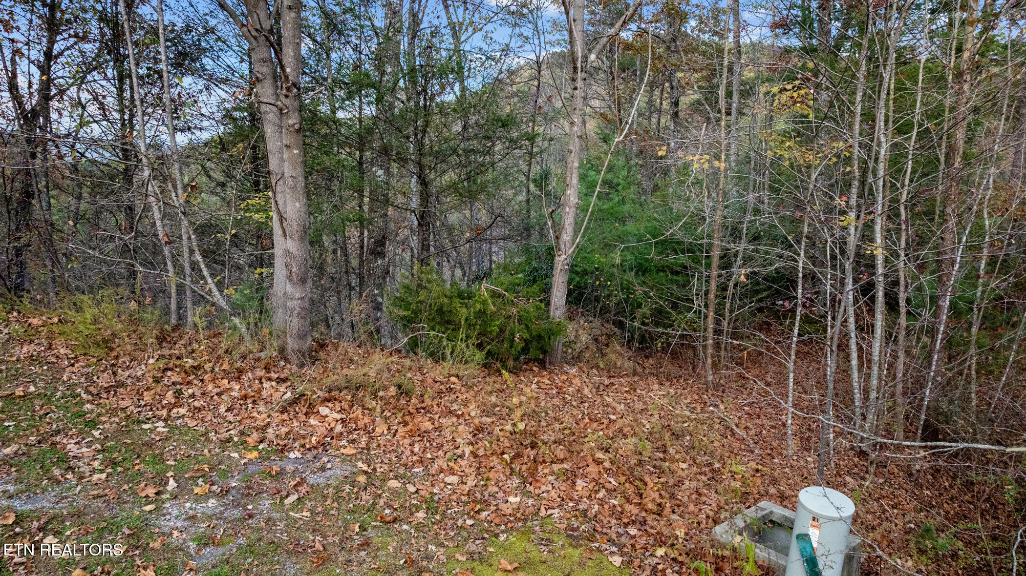 4416 Whetstone Road Sevierville TN 37862