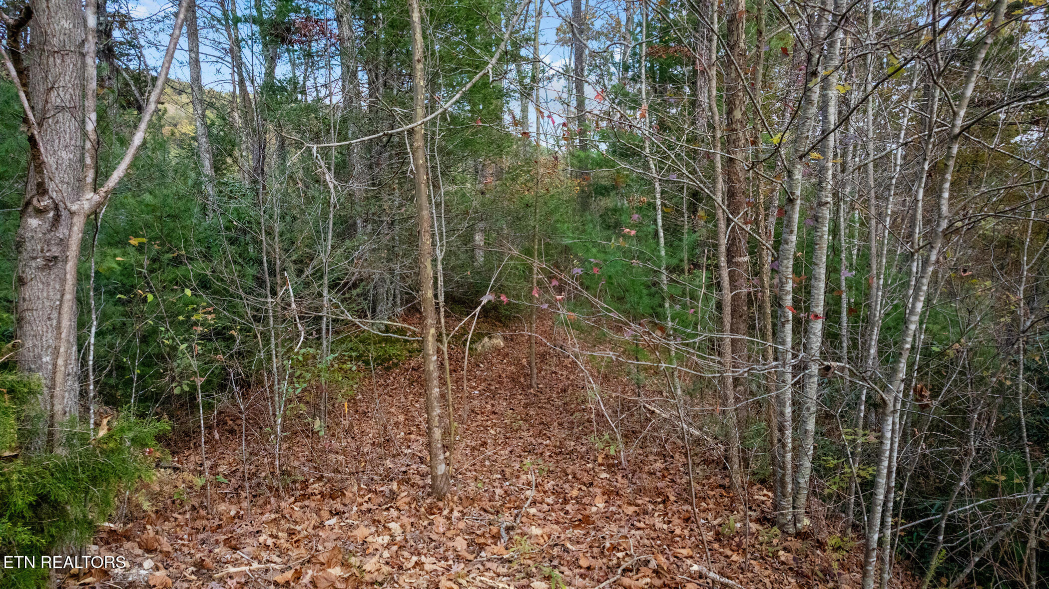 4416 Whetstone Road Sevierville TN 37862