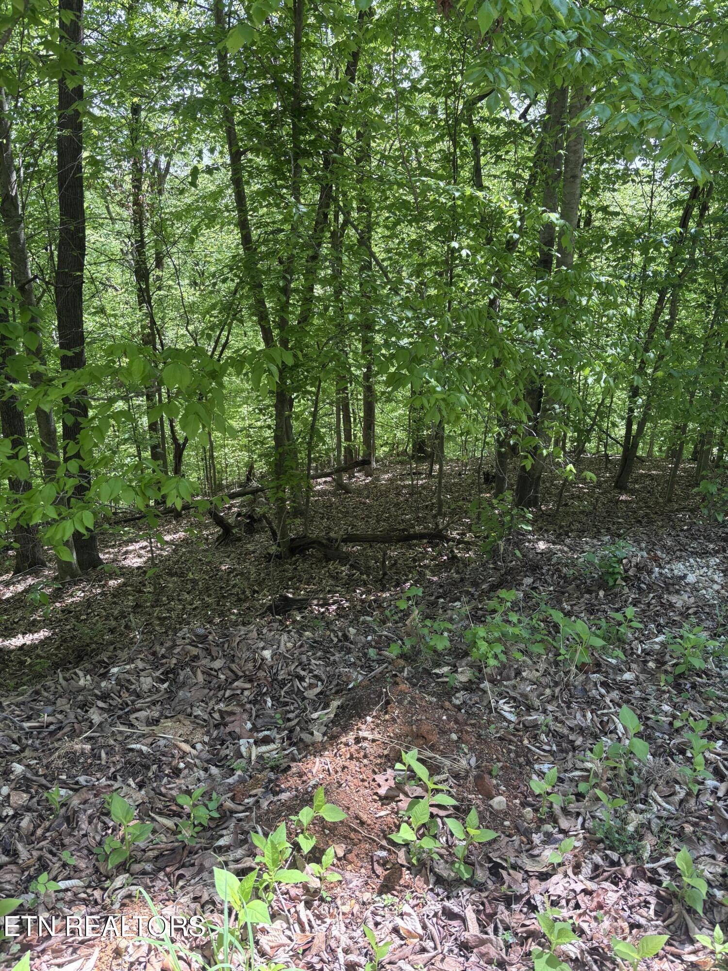 Grandpas Ridge Sharps Chapel TN 37866