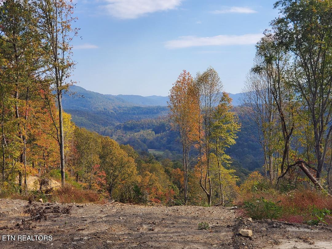 Bull Creek Road S/0 Huntsville TN 37756