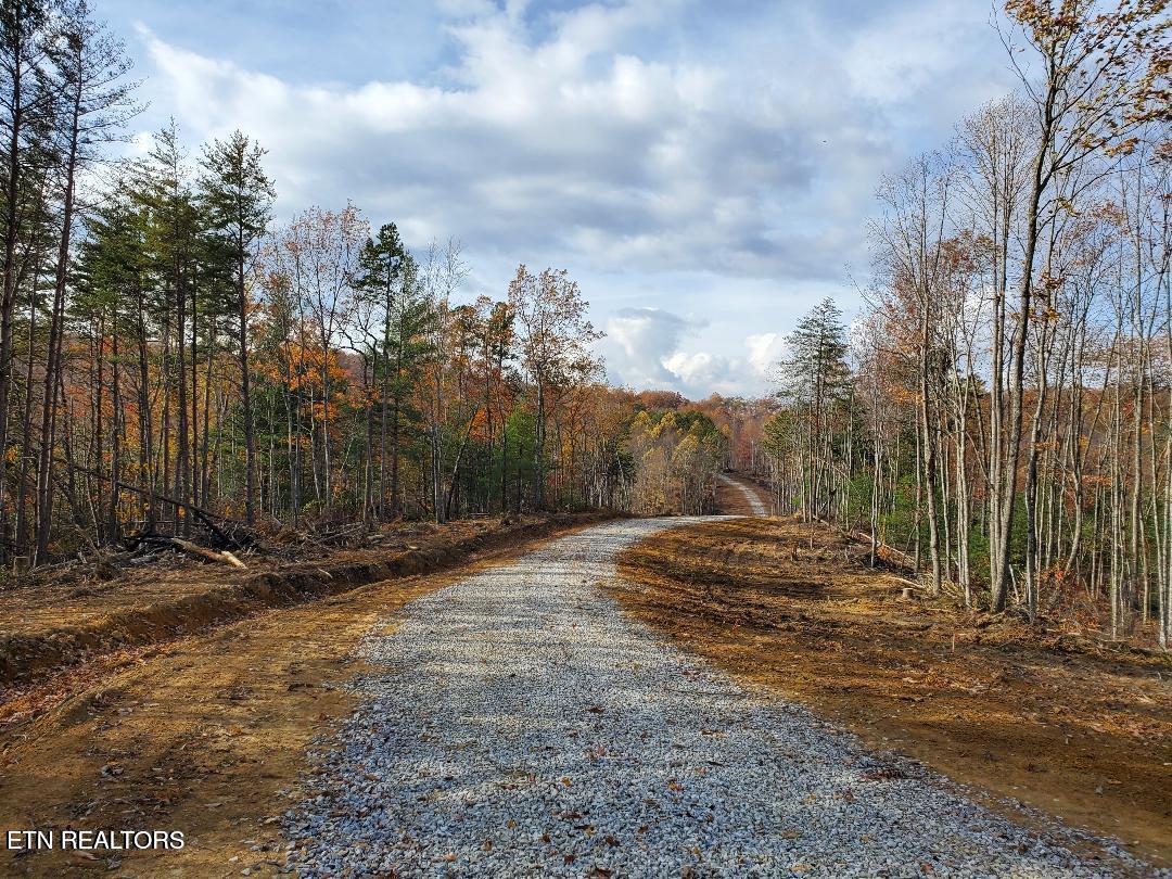 Bull Creek Road S/0 Huntsville TN 37756