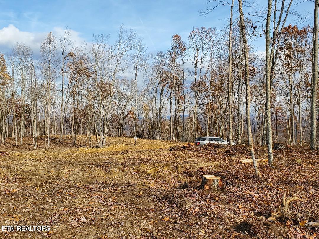 Bull Creek Road S/0 Huntsville TN 37756