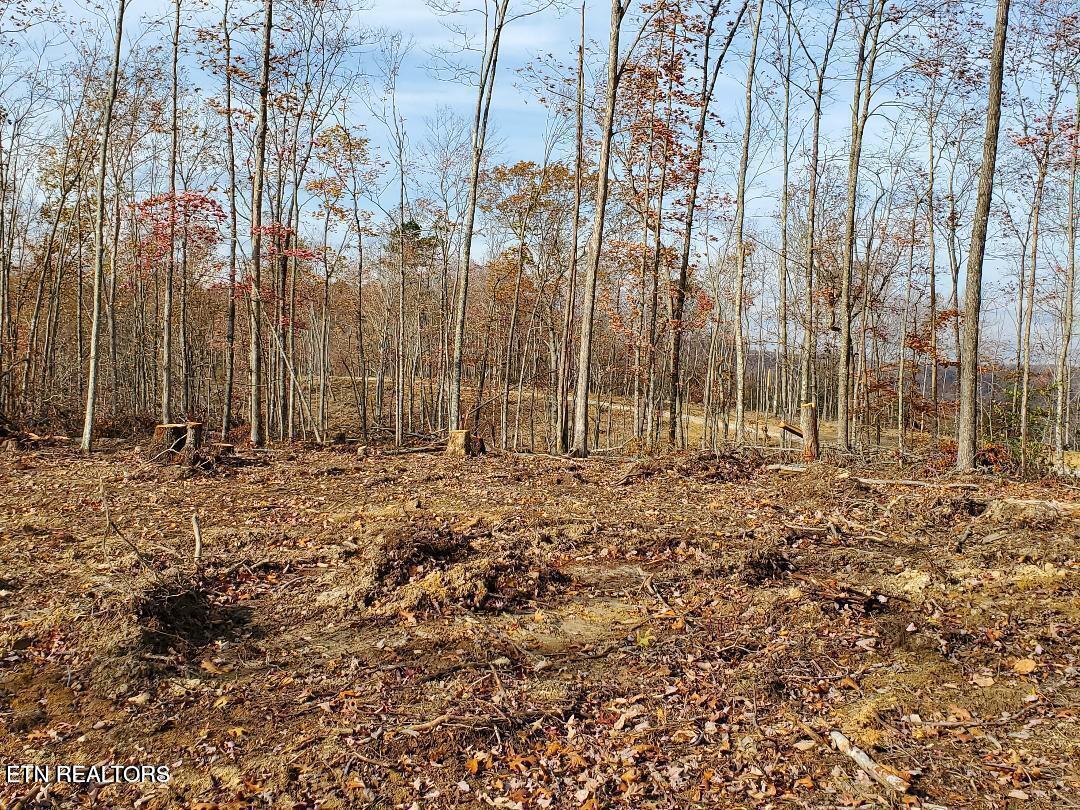 Bull Creek Road S/0 Huntsville TN 37756