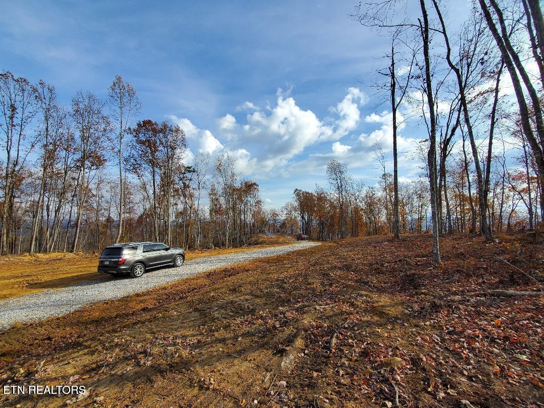 Bull Creek Road S/0 Huntsville TN 37756