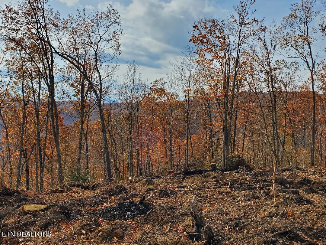 Bull Creek Road S/0 Huntsville TN 37756
