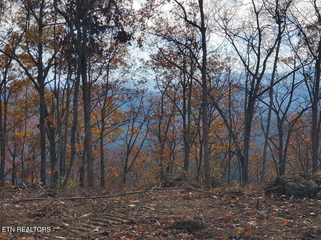 Bull Creek Road S/0 Huntsville TN 37756