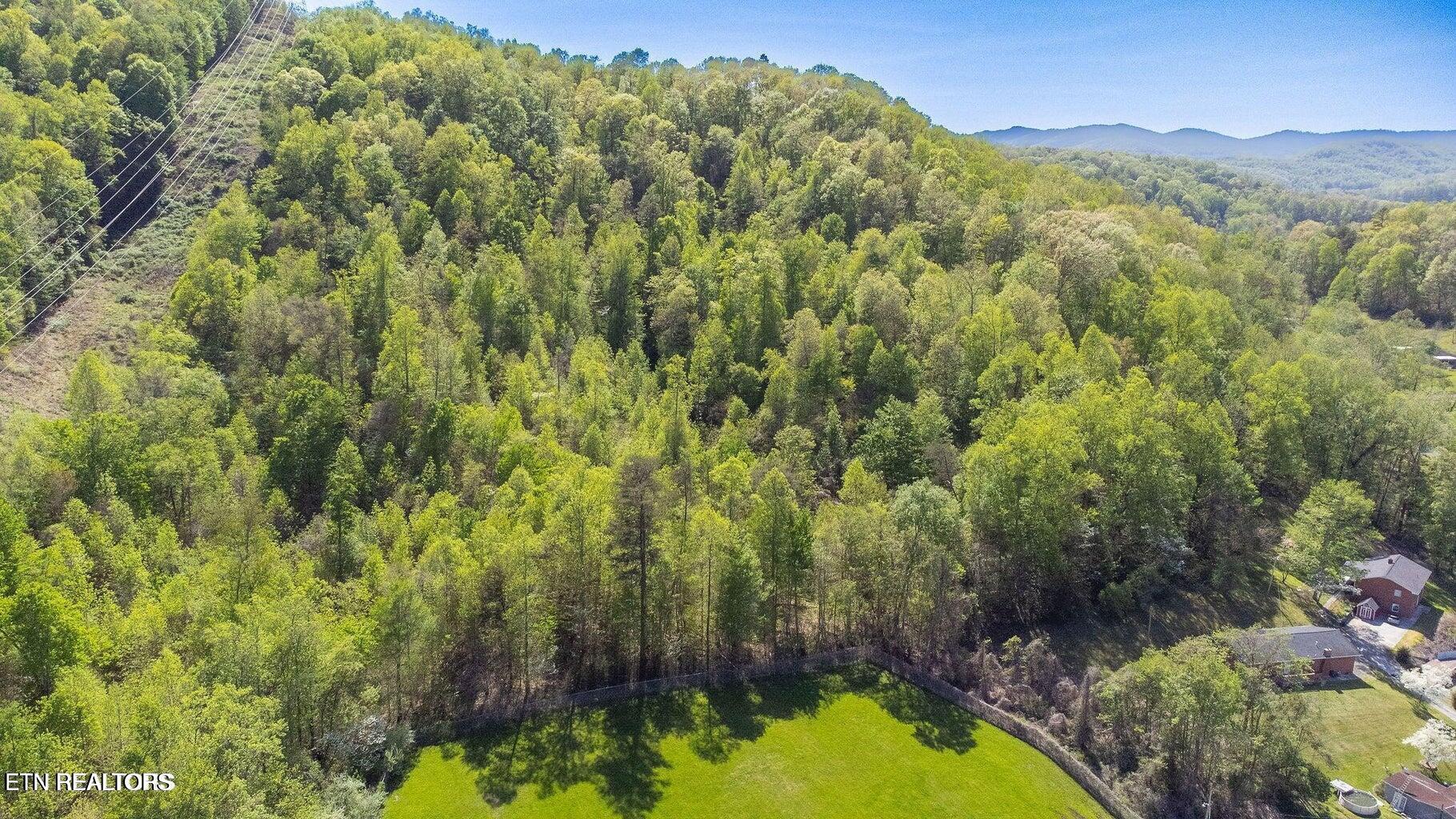 Morton Lane Jellico TN 37762