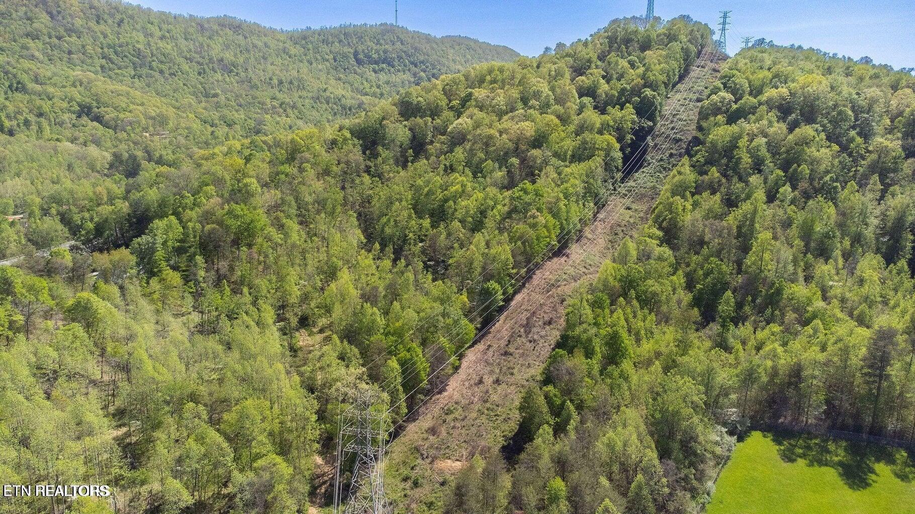 Morton Lane Jellico TN 37762