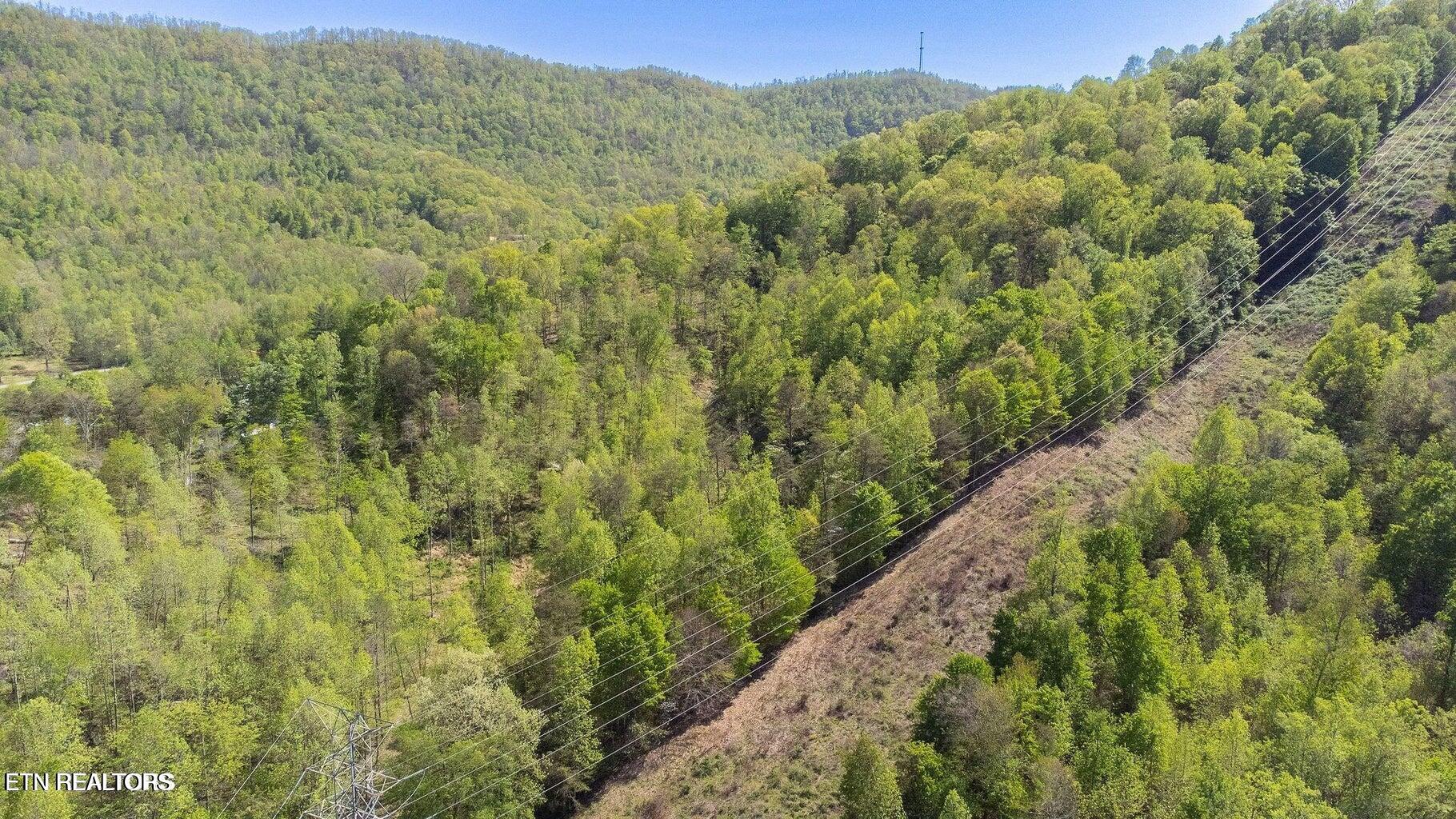 Morton Lane Jellico TN 37762