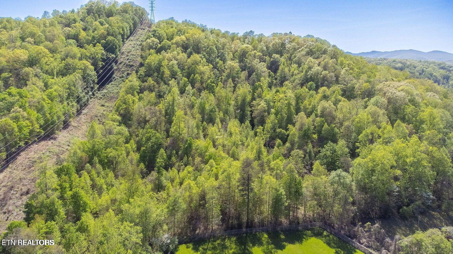 Morton Lane Jellico TN 37762