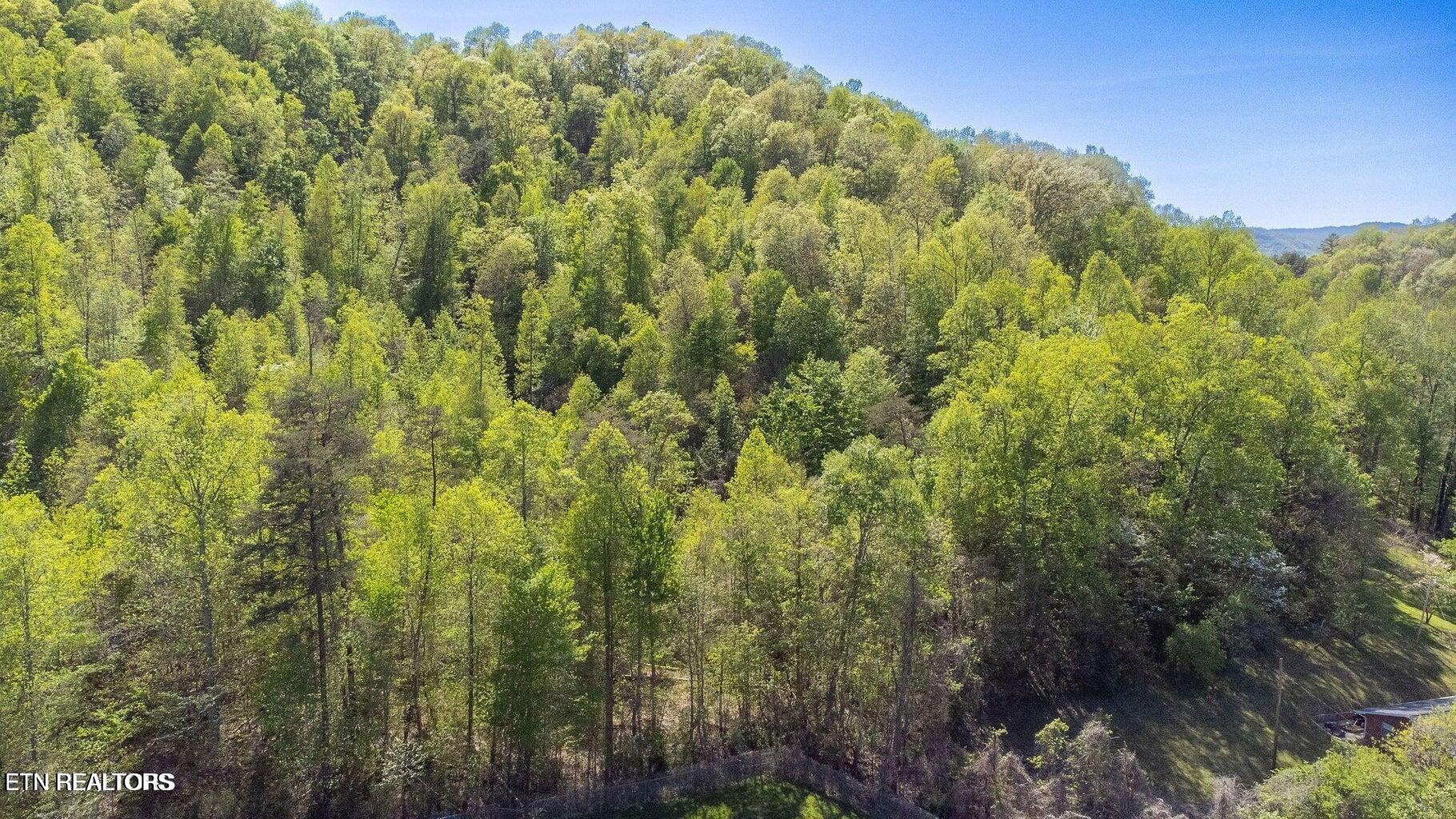 Morton Lane Jellico TN 37762
