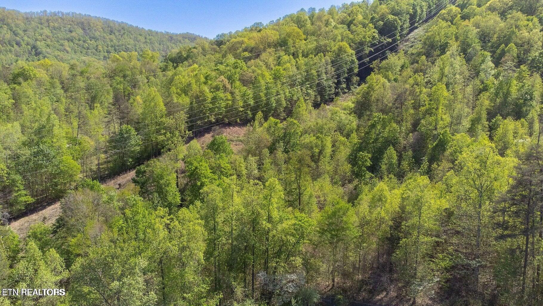 Morton Lane Jellico TN 37762