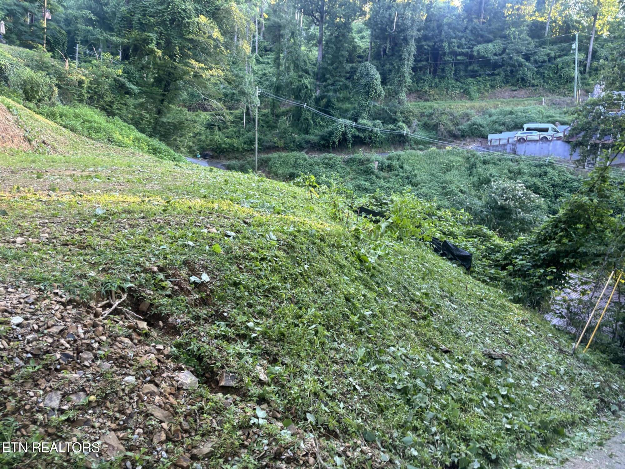 229 Silverbell Lane Gatlinburg TN 37738