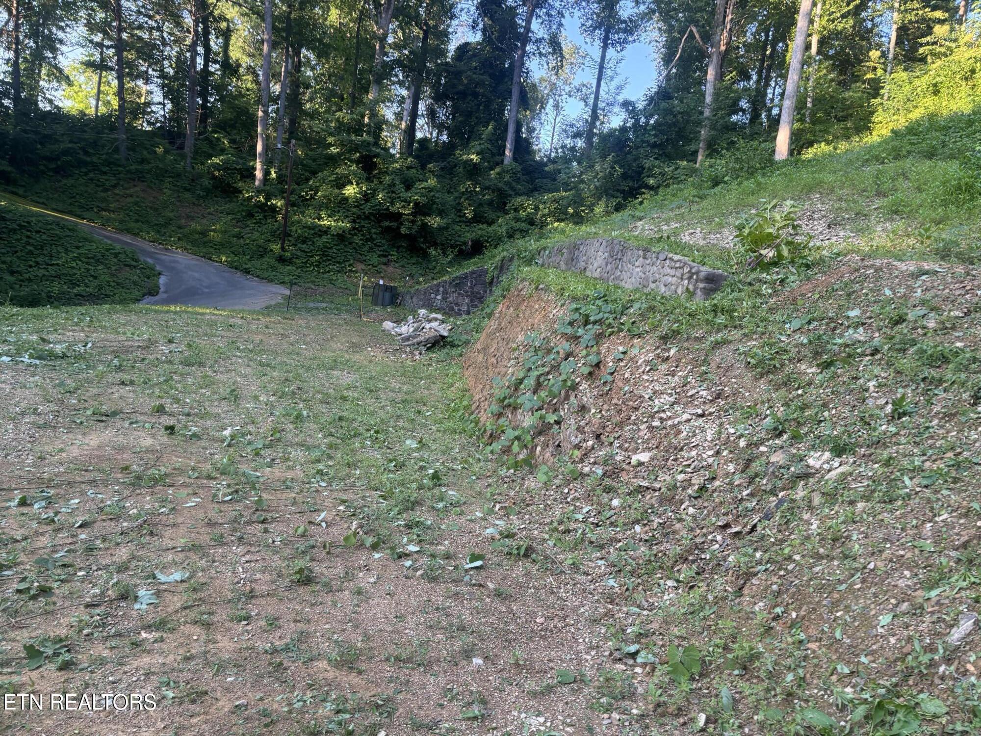 229 Silverbell Lane Gatlinburg TN 37738