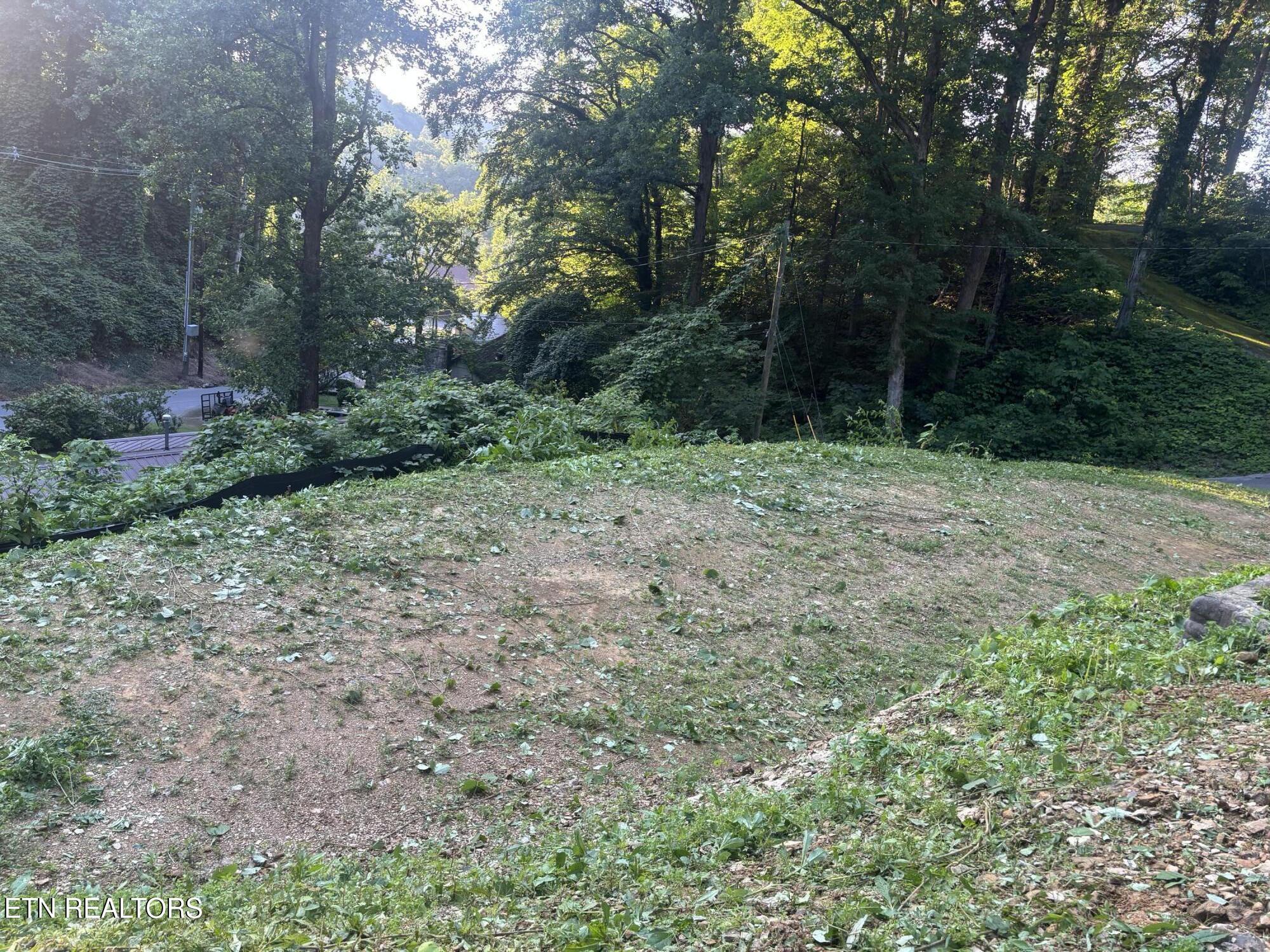 229 Silverbell Lane Gatlinburg TN 37738