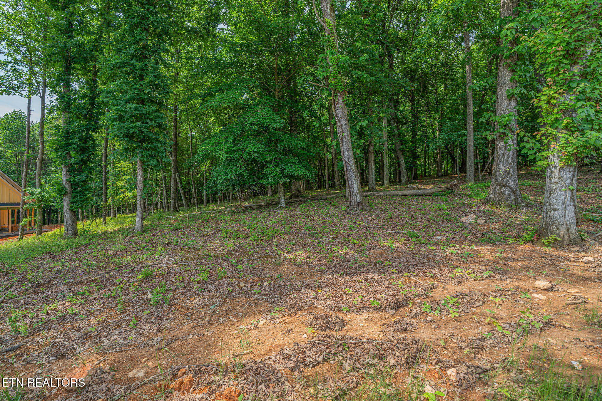 184 Lake Life Way Loudon TN 37774