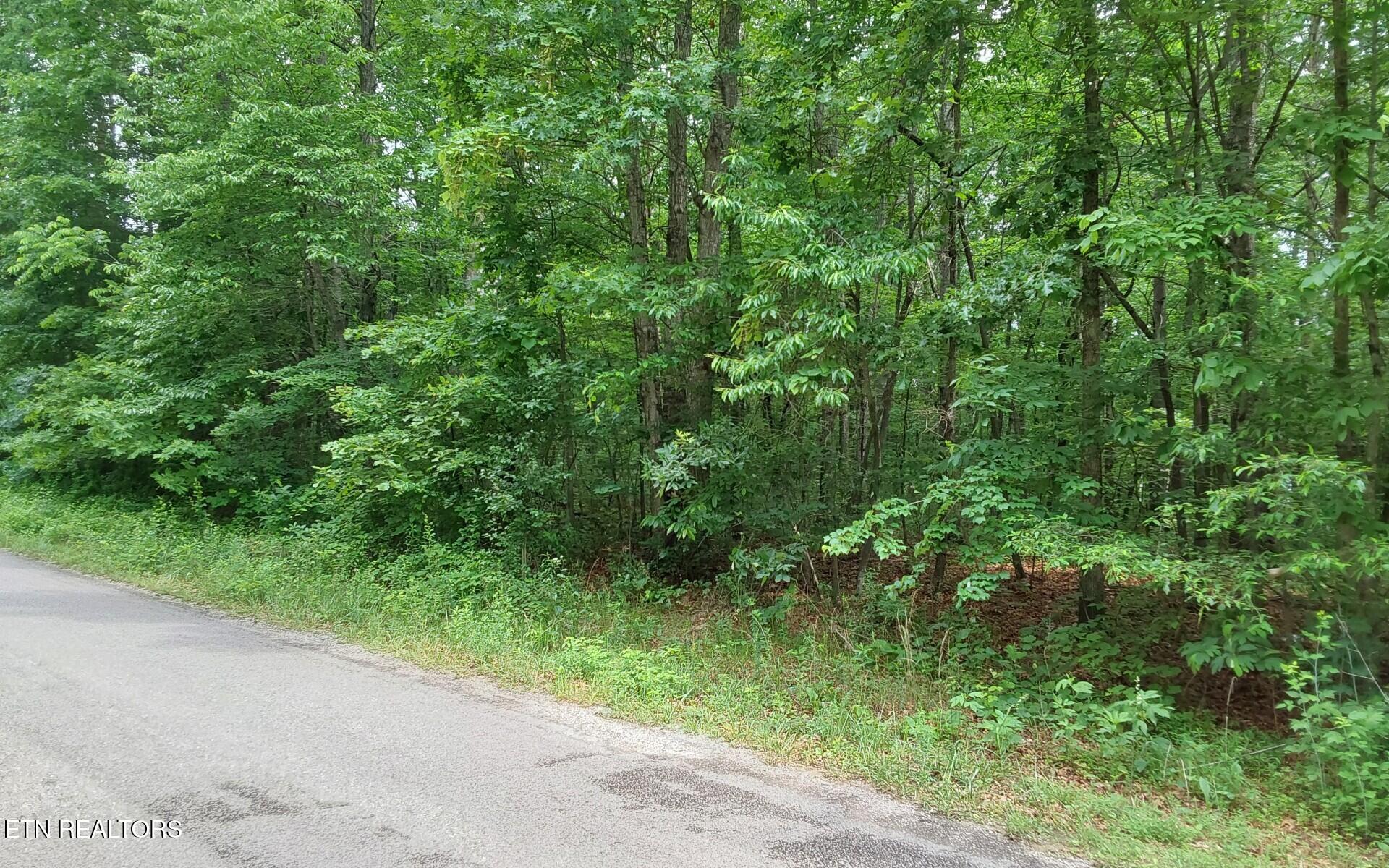 00 Gray Fox Drive Crossville TN 38555