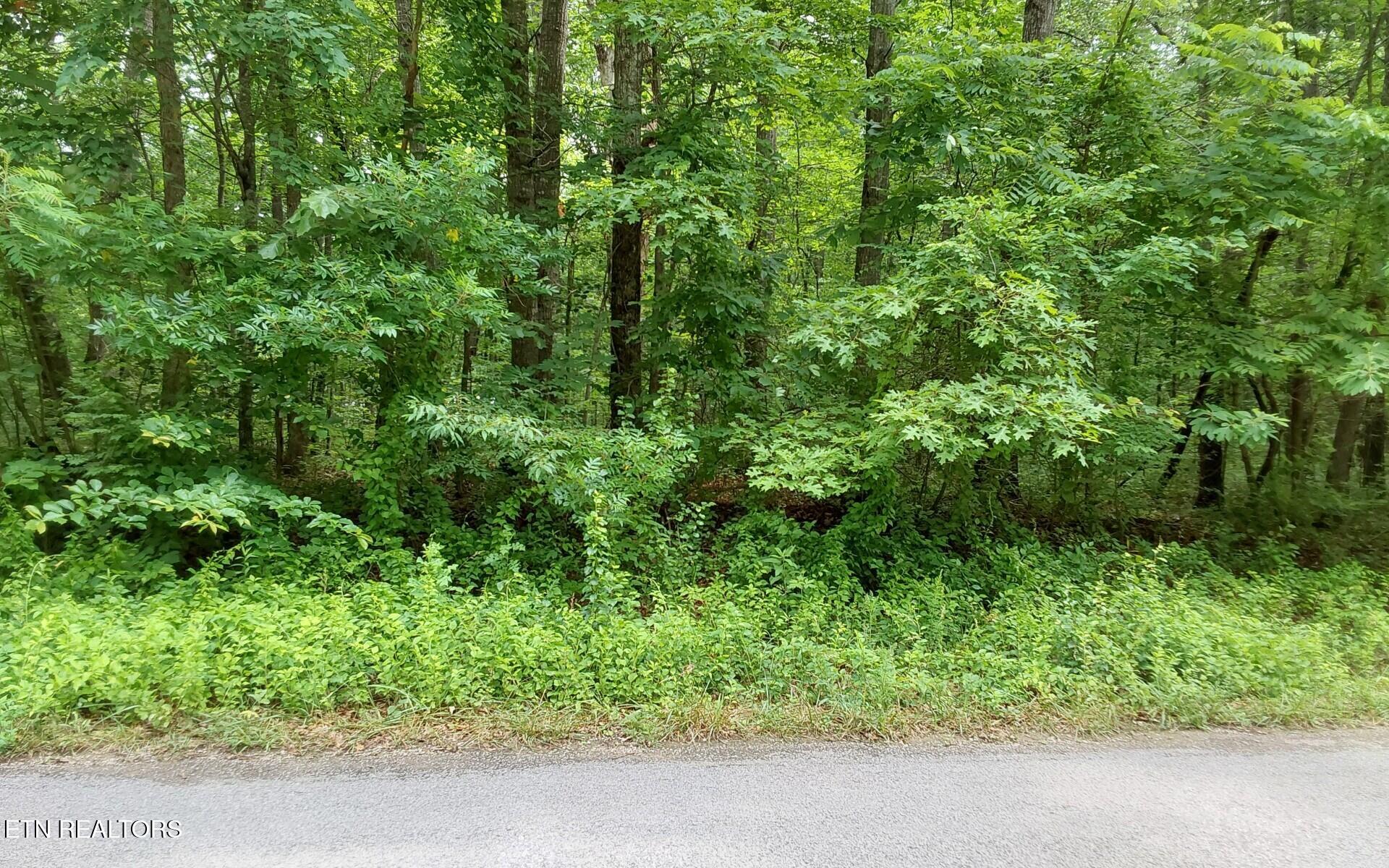 00 Gray Fox Drive Crossville TN 38555