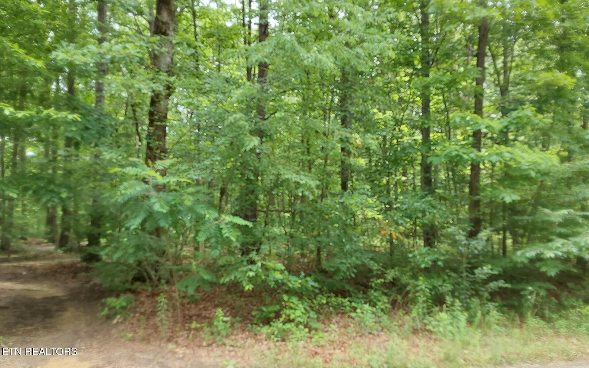00 Gray Fox Drive Crossville TN 38555