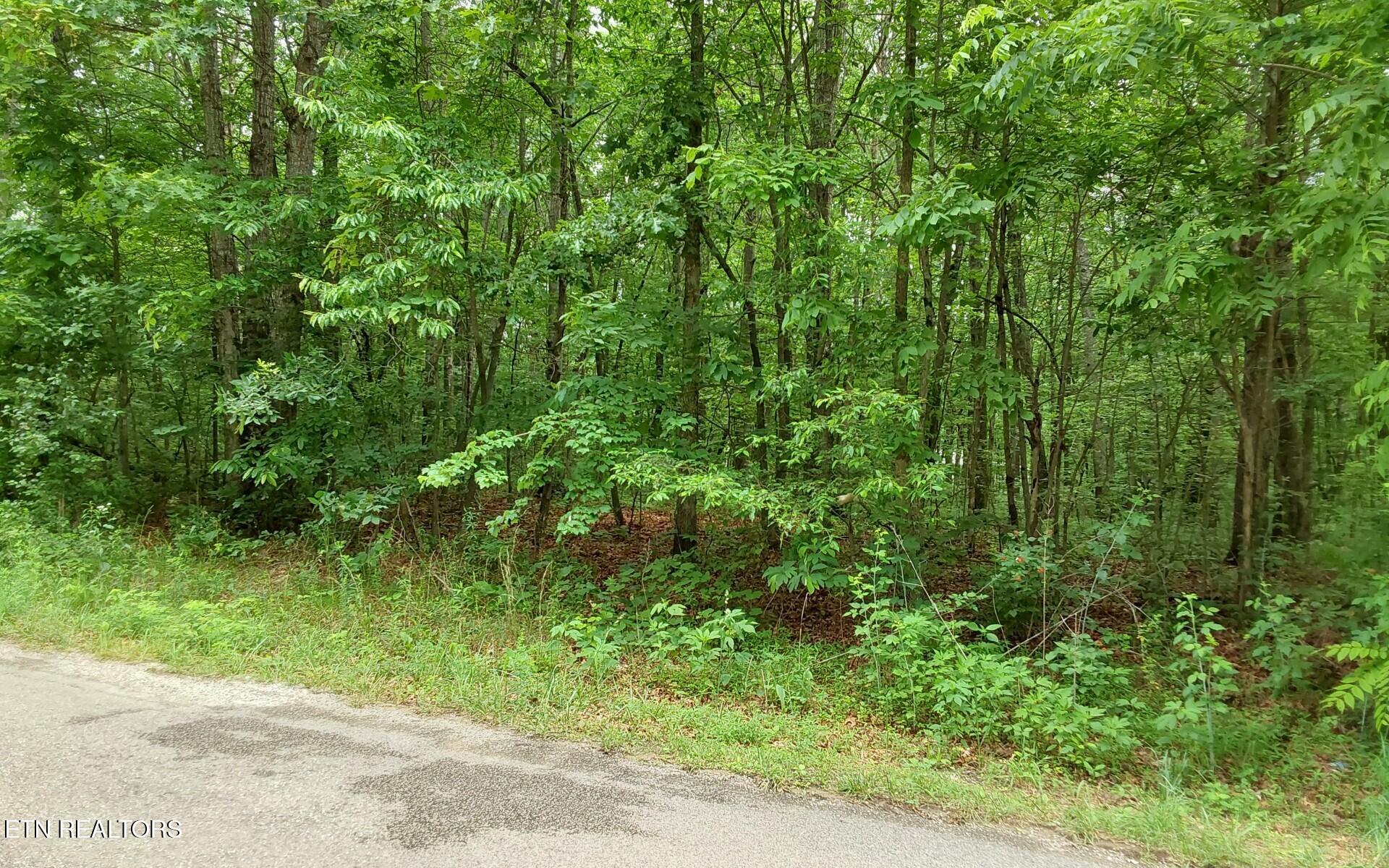 00 Gray Fox Drive Crossville TN 38555