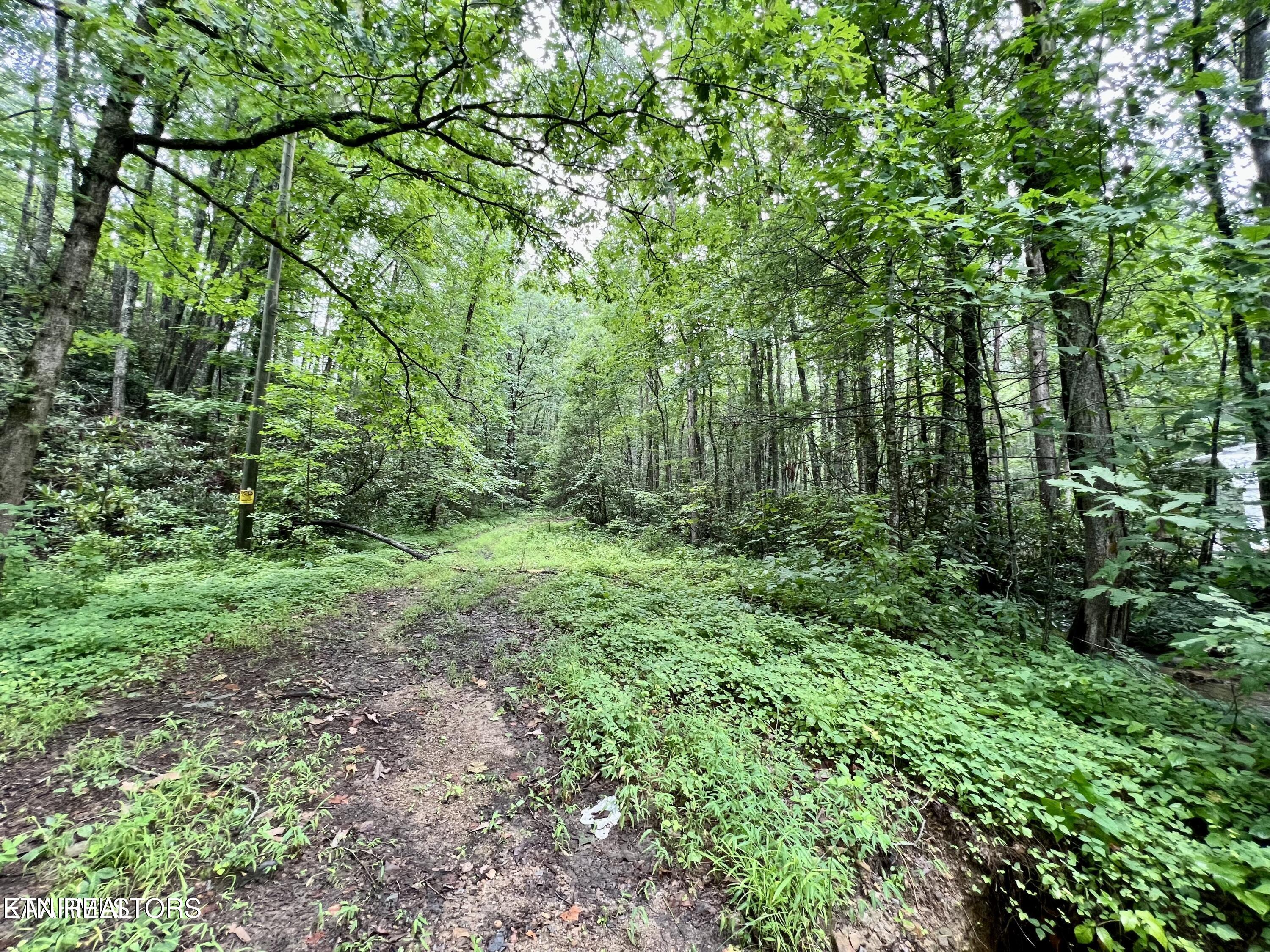 Sycamore Street Sevierville TN 37876