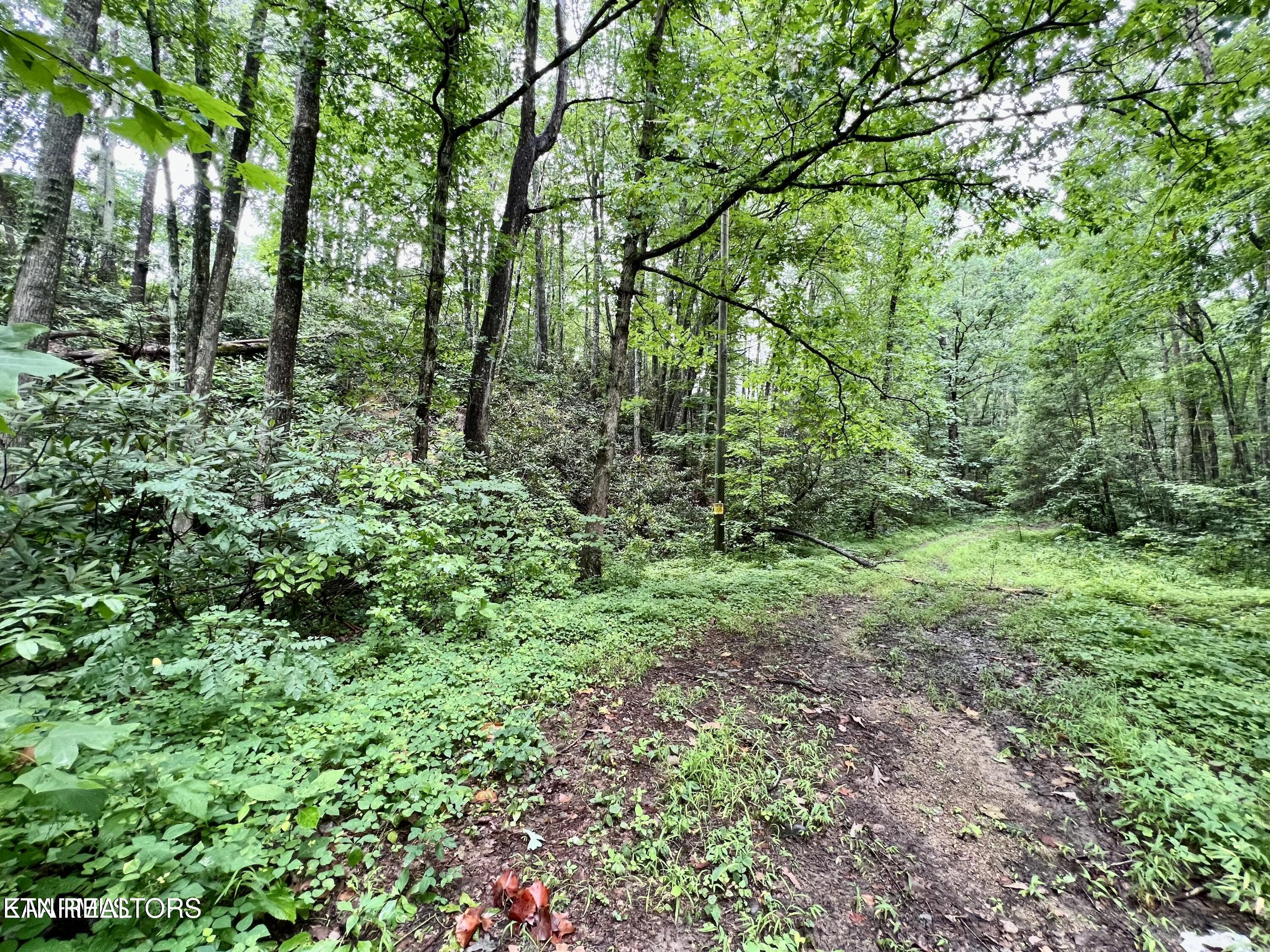 Sycamore Street Sevierville TN 37876