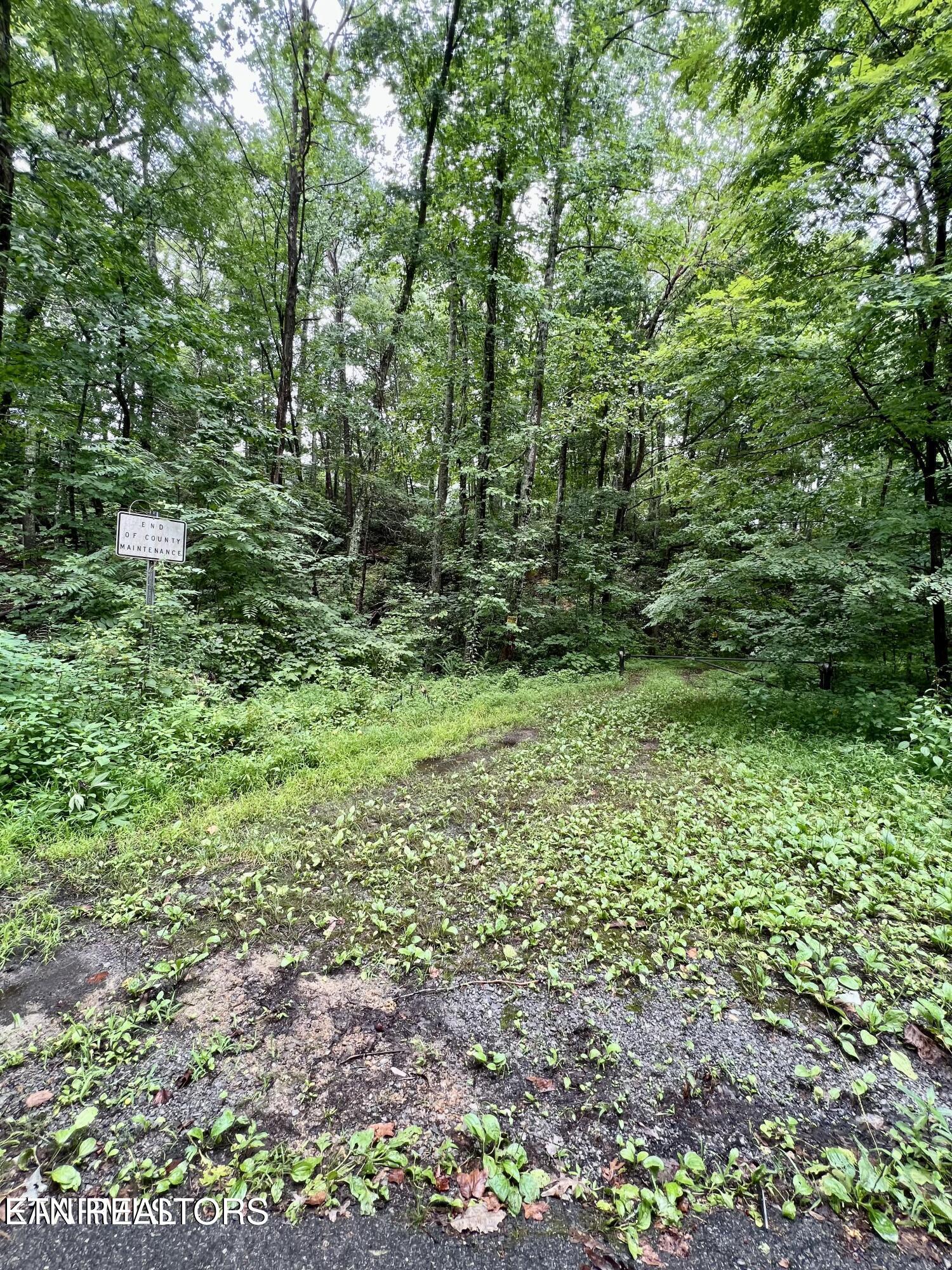 Sycamore Street Sevierville TN 37876