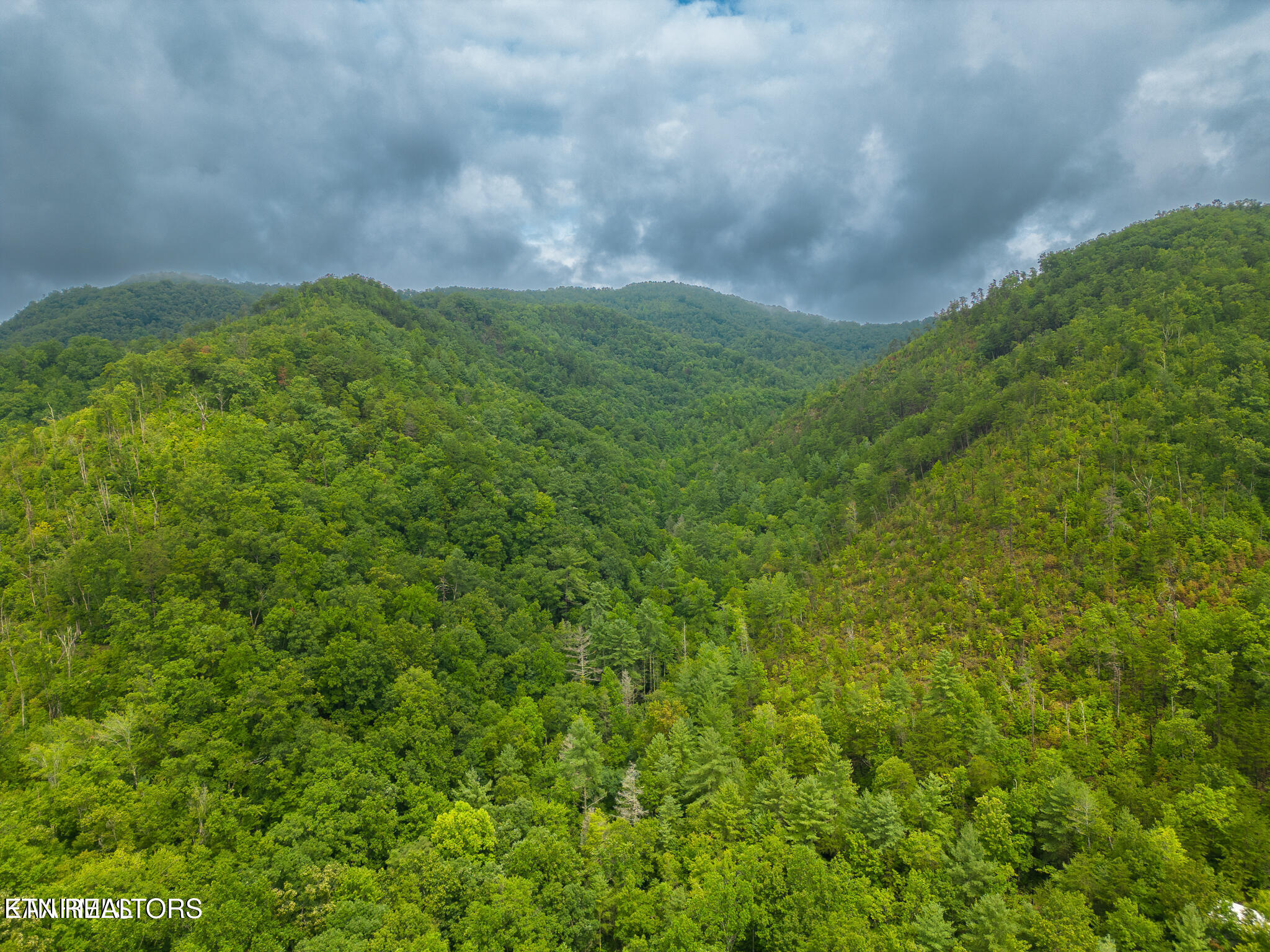 Sycamore Street Sevierville TN 37876