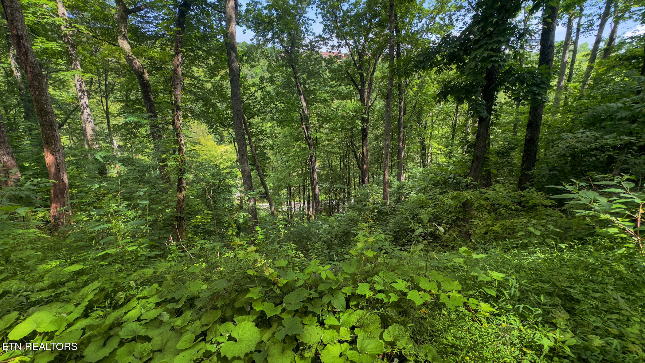 Lot 6 Ski Mountain Road Gatlinburg TN 37738