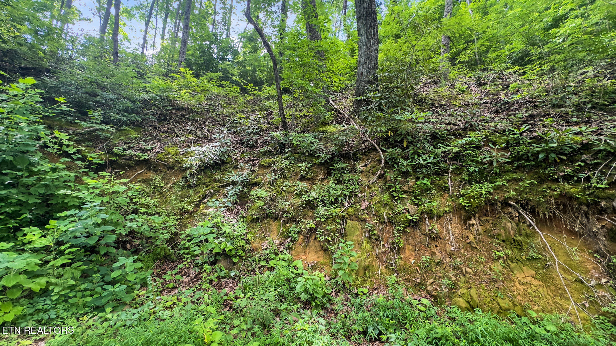 Lot 6 Ski Mountain Road Gatlinburg TN 37738