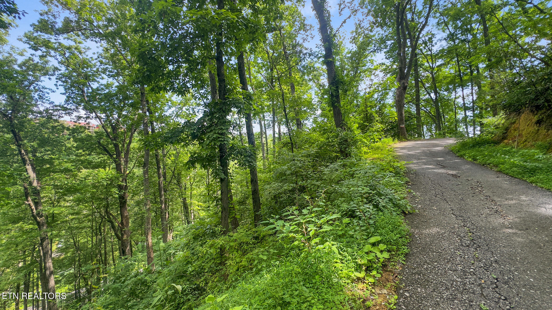 Lot 6 Ski Mountain Road Gatlinburg TN 37738