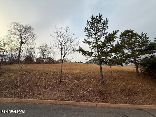 Shiloh Springs Road Rutledge TN 37861