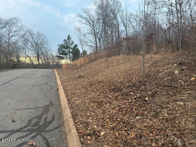Shiloh Springs Road Rutledge TN 37861