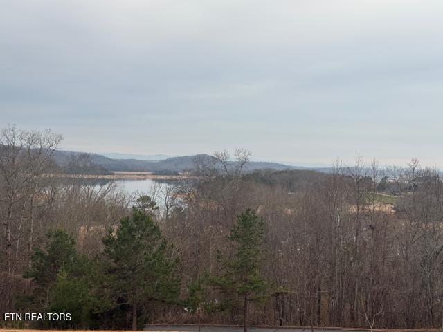 Shiloh Springs Road Rutledge TN 37861