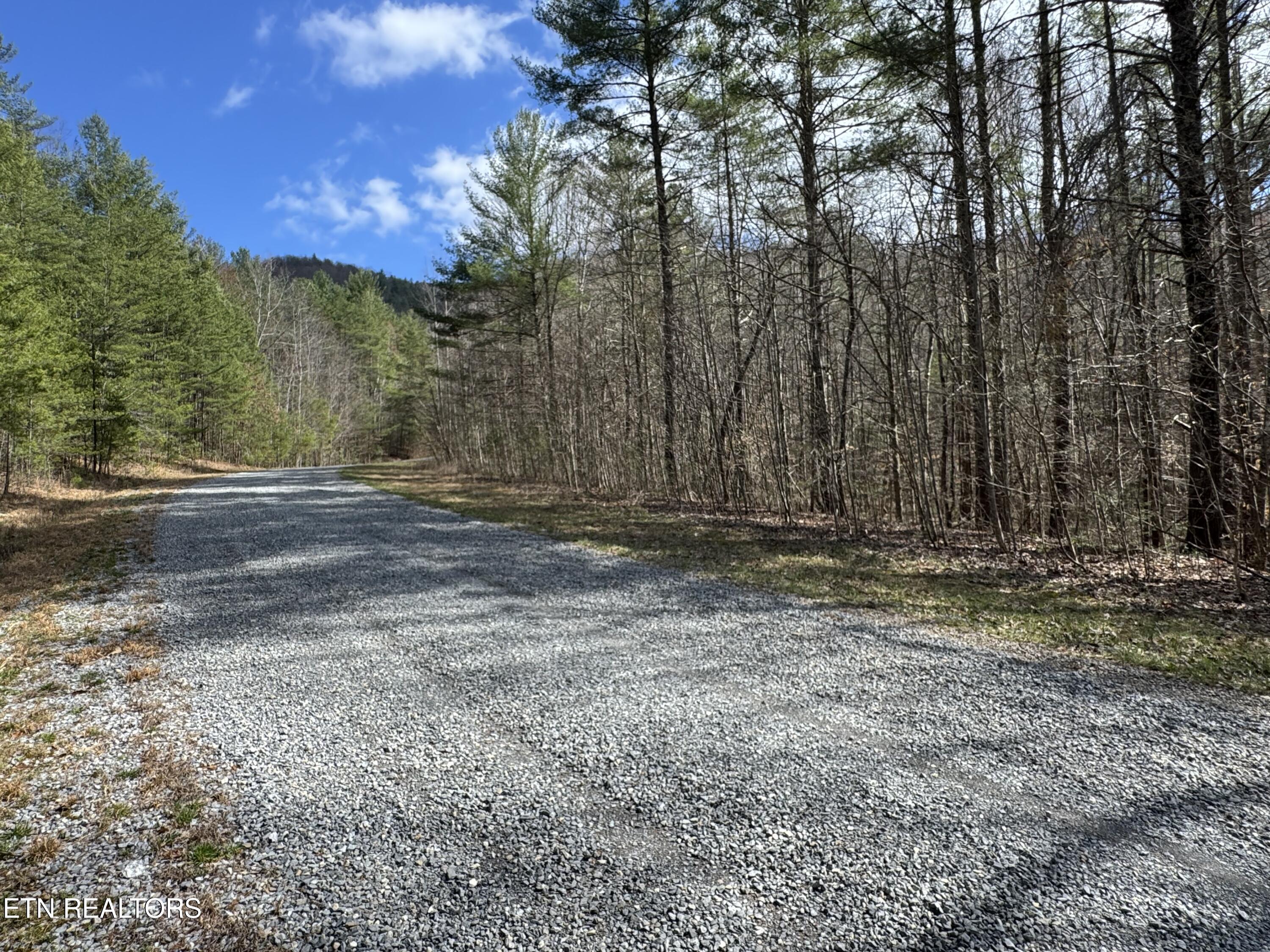 Cougar Trail Del Rio TN 37727